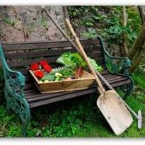 GetGardenTools's profile picture. At http://t.co/s0AUVqzVwm, find all you need to create and maintain a beautiful garden of your own!