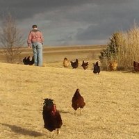 Ben Hennessy (@bennhenn) 's Twitter Profile