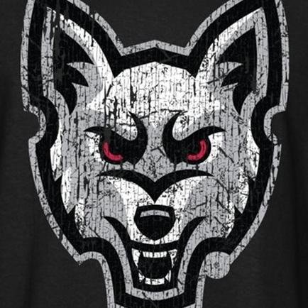 Official Fan Page for the University of South Dakota Coyotes. Not Affiliated with USD or the Athletic Department. #GoYotes #UnitedStrongDetermined