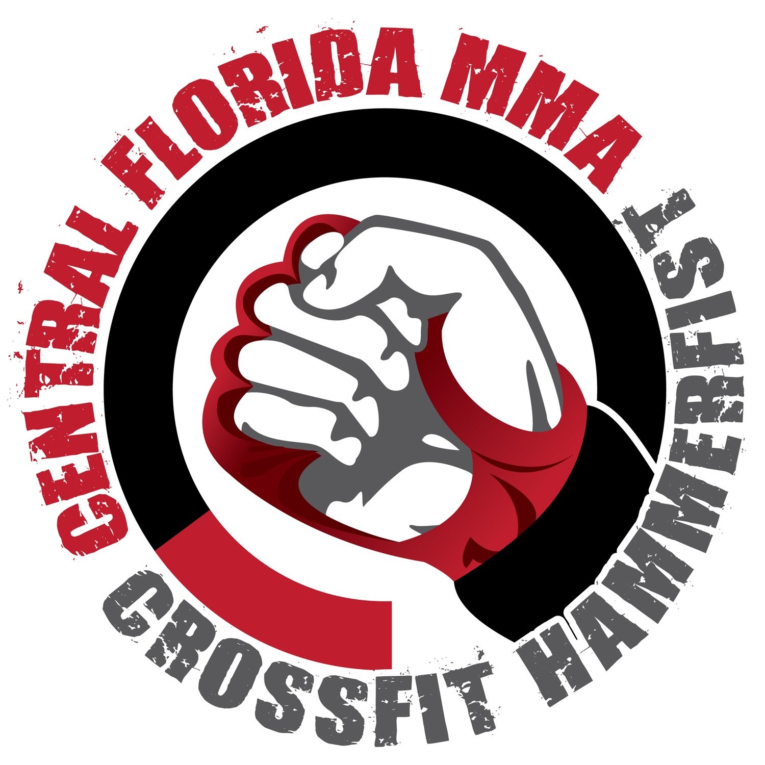 CrossFit & MMA gym in Florida