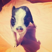 Wayne P Hinkley (@offshorewayne) Twitter profile photo