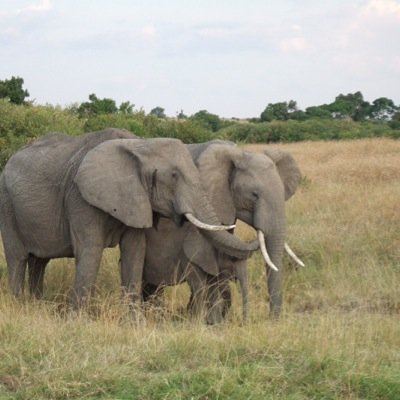 sexton1943's profile picture. 