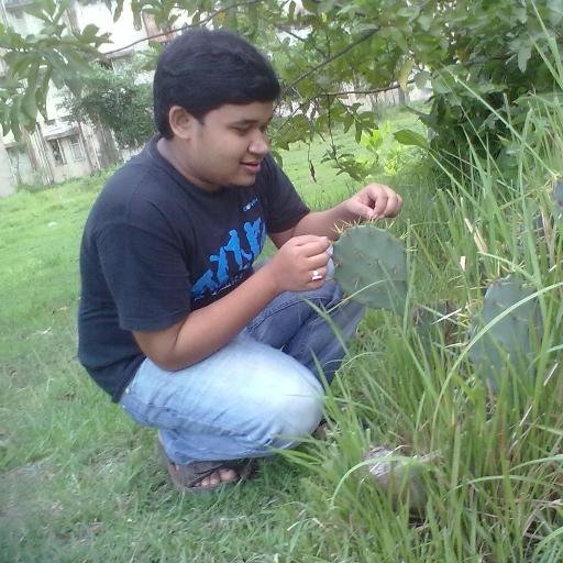 Electrical Engineer
MEP Engineer