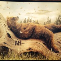JT (@hainault1960) 's Twitter Profile