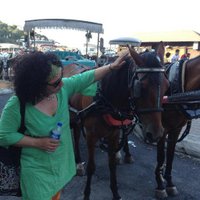 Raziye Kubat (@razikubat) 's Twitter Profile