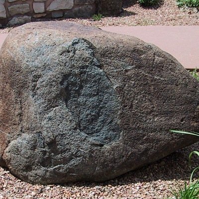 I'm just an everyday rock