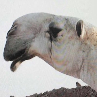 مات البخيل وضاع مالٍ تعب فيه ** ومات الكريم وعاش ذكره مع الناس