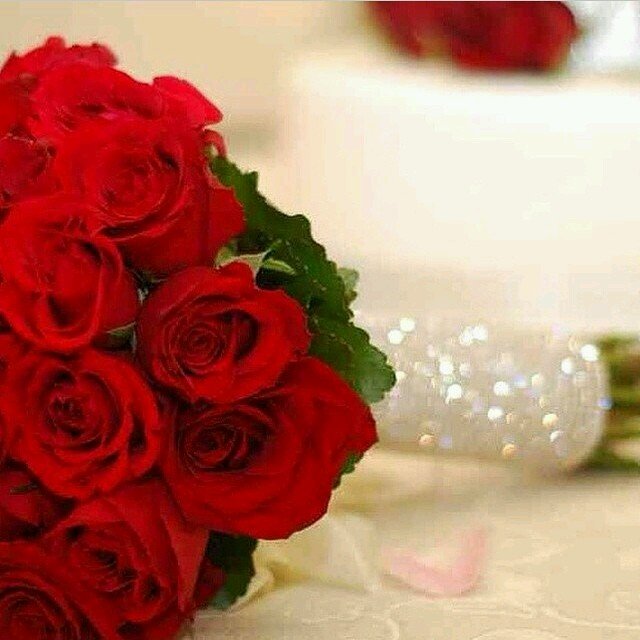 ‏لتكن أخلاقنا باقة من زهور الحياه نهديها لمن حولنا...♡


{   ربي أنثر السعاده في دربي }