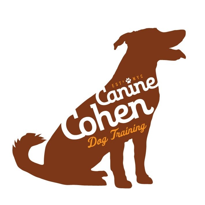 By applying the best training techniques, I can help motivate your dog and inspire you so that you can have the best possible relationship.