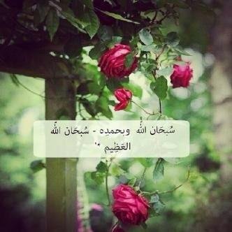 ‏‏‏‏‏‏‏‏‏'

حينَ تضيِقُ بِكُم لا تبكوا , بَل إسجِدوا