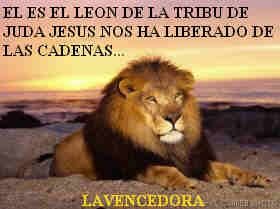 tipotranquilo's profile picture. ALOHAbendiciones bendicines bendiones jah I and I siempre hay una señal buena vibra buena Ola