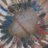 WeRun_XC's profile image