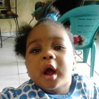 GolGoldscott's profile picture. *Gold Pest Control* is a leading provider of pest management solutions, dedicated to delivering effective and eco-friendly services.