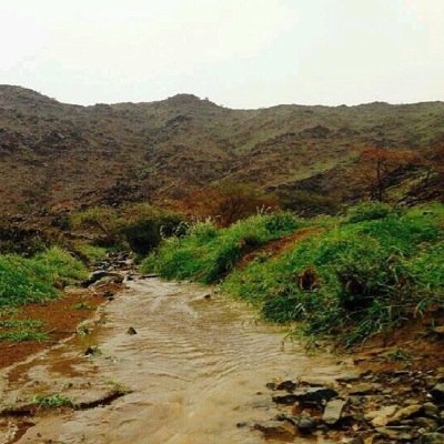 من حس بالغربه وهو بين الاحباب && مثل السلاح اللي بليا ذخيره