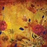 Anthony Weightman (@antonyweightman) 's Twitter Profile