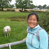 Jenny Tung (@jtung5) 's Twitter Profile Photo Jenny Tung (@jtung5) 's Twitter Profile Photo