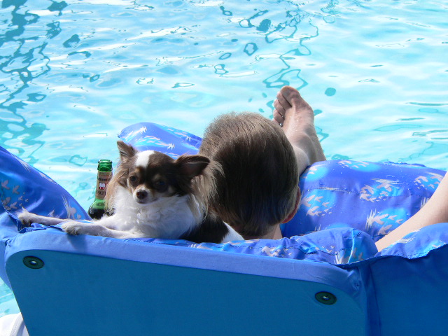 skipgodfrey's profile picture. 