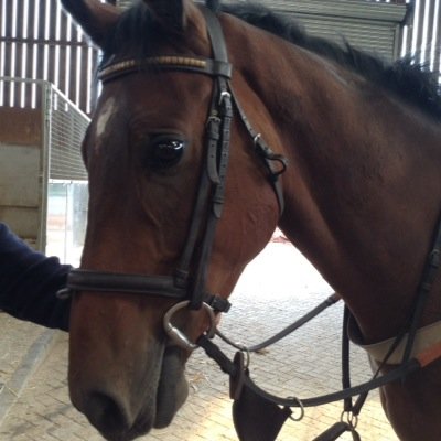 shancox1970's profile picture. love horse racing,wannabe hippy