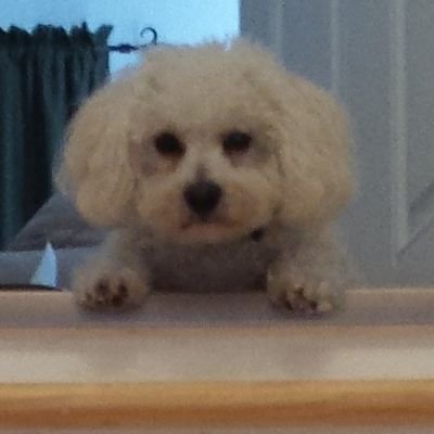 kenkon52's profile picture. 