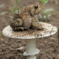 Kennedy Lab (@umnfun) 's Twitter Profile