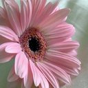 Tracy Pogue - @tpogue1970 - Twitter