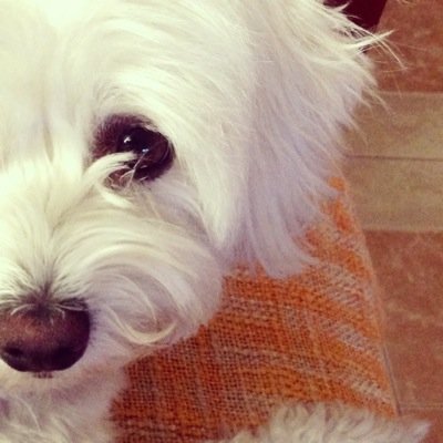 Podemos fingir que los aviones del cielo son estrellas fugaces? Necesito pedir un deseo. Do it for her. Periodismo y RRII en la URJC.