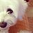 CriCris6's profile image