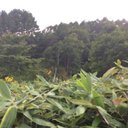 kenta (@012300222) Twitter