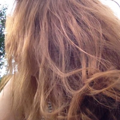 angiedevers's profile picture. i work hard so my cats can have a better life & i can pay my student debt ... oh, and maybe get some concert tix and groceries