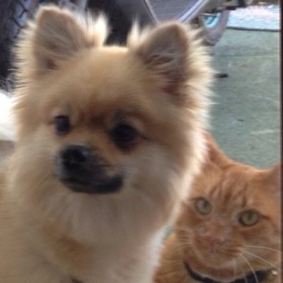 WilsonIBScience's profile picture. 