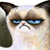 AntoniusVI's profile picture. volleyball addict, MTB rider, VW enthusiast and FIFA 15 gamer.