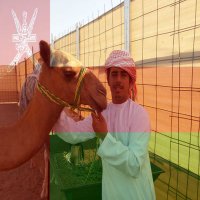 🇵🇸 محمد الجحافي 🇴🇲 (@mohashsqu) 's Twitter Profile