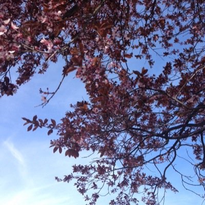 timothymcd's profile picture. 