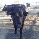 Eric Hiltner - @EGHilt - Twitter