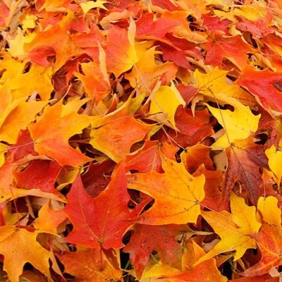 Grab your big sweaters jeans scarves and boots because fall is coming