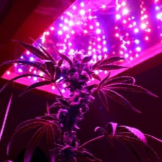 Tweets from your favorite smoke room. Riding Good Vibes Only. All we need is a beat and a blunt.