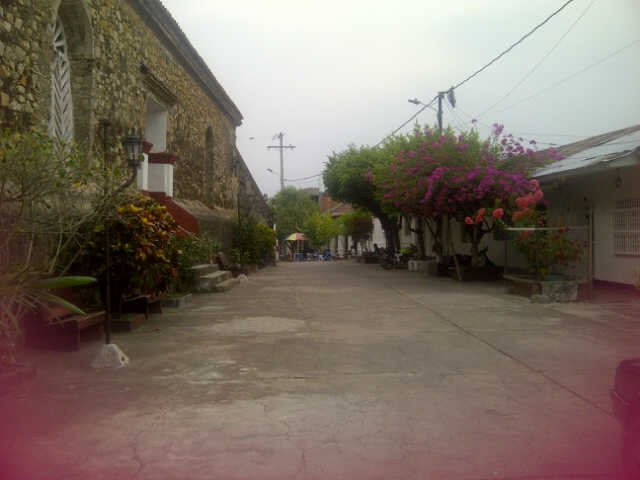 ever_perez_6154's profile picture. 