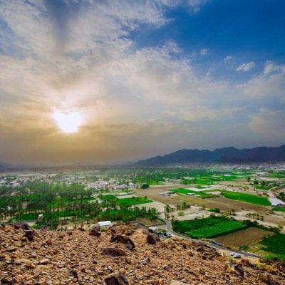 مهتــــم بالتغــــريد للشعرا عامــــه ... ارسل ابياتك في الخاص وانا اقوم بالتغريد بها
