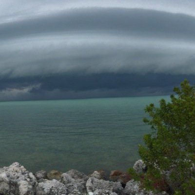 tnyelawyerguy's profile picture. Michigan Criminal Defense Contactus@nyelaw.org.