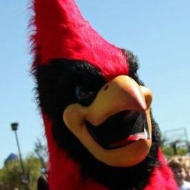Chief Mascot for St. Louis de Montfort Catholic School, Large & IN Charge, Founder of The Louie Challenge, Favorite Color is RED!!!!