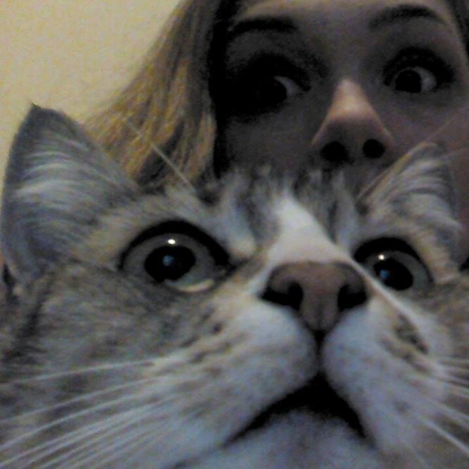 Gimmiecakeordie's profile picture. 