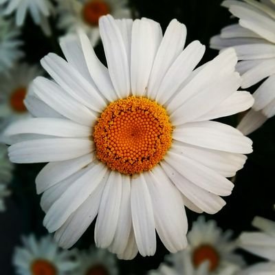 JJTJandM831 Profile Picture