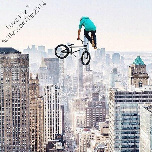 lltm2014's profile picture. 