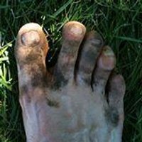Feet2Feat(@feet2feat) 's Twitter Profile Photo