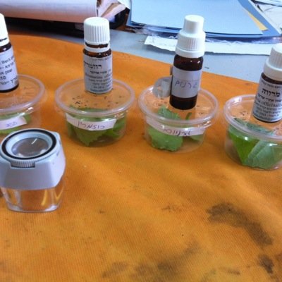 shmue123456's profile picture. בסד
רכז משק ורכז מגמה ביולוגית סביבתית וחקלאית בכפר הנוער הודיות