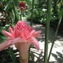 Laura March - @Lorelei222 - Twitter