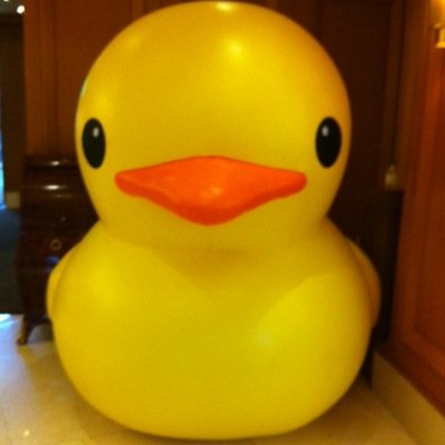 BonzJW's profile picture. You have no idea who I am