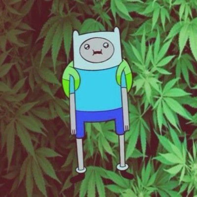 hiii, can you please follow @_itsrobyn she gave you this follow