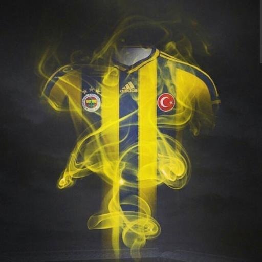 Fenerbahçe Fikstürü 2014-2015
