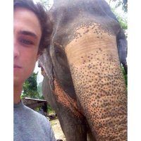 matt (@matttydaniells) 's Twitter Profile